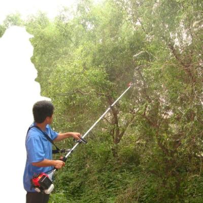 China 2-Stroke gasoline engine garden pole tree pruner LCS330 for sale