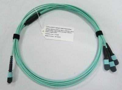 China 24 der Faser-optisches MTP MPO Aqua der Kabel-OM3 10G 25 Meter-Blau zu verkaufen