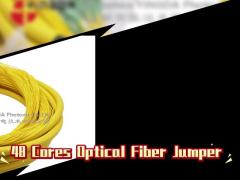 48 Cores Optical Fiber Jumper Distribution Patch Cord Fanout With LC APC