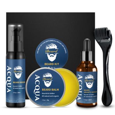 China Moisturize Wholesale Mens Beard Care Products Gift Set Private Label Vegan Beard Growth Oil Growth Kit for sale