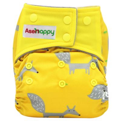 China Asenappy AIO Cloth Diaper Baby Cloth Printed Soft Absorbent Diaper Washable All In One Diaper for sale