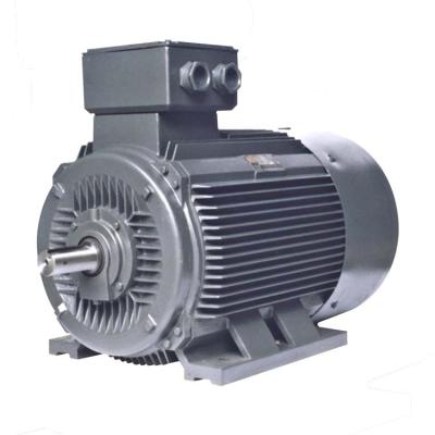 China OEM 50HZ/60HZ Totally Enclosed Three Phase Asynchronous Motor for sale