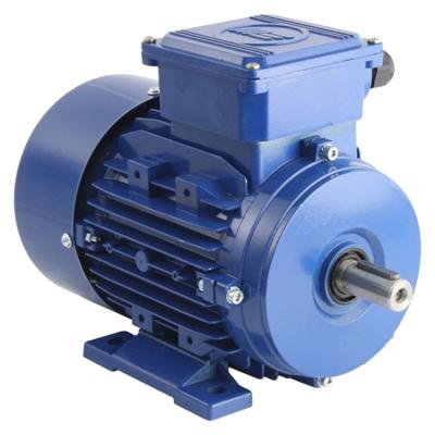 China totally enclosed electric motor/synchronous motor/motor parts/motor for sale