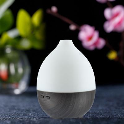 China Eco-friendly Hotel Home Electric Usb Mini Humidifier Aroma Diffuser For Aromatherapy Cool Plant Mist 200ml Essential Oil for sale