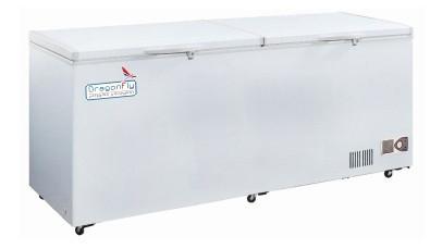 China Economic Type 308L Deep Chest Freezer / Chest Refrigerator in White for sale