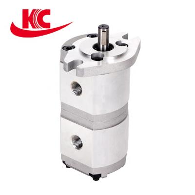 China Other Mini Pump Hydraulic Gear Pump Double Pump For Light Industrial Machinery for sale