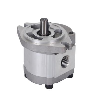 China Sector power factory direct sales, two-way rotary gear pump, two-way small hydraulic oil pump for sale