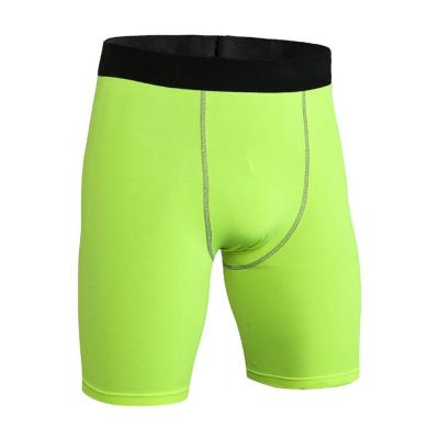 China Men's Breathable Warm Elastic Quick Dry Compressed Gym Short Pants Top Selling Sports Running Shorts for sale