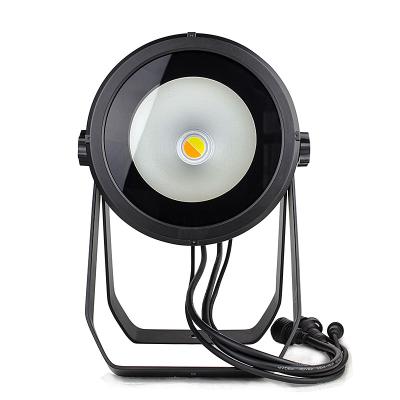 China High Quality Waterproof COB IP65 200w White Led Par Light + Warm Cool White 200W LED Par Light for sale