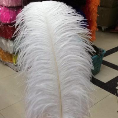 China Party event decoration carnival costume big white ostrich feather for sale