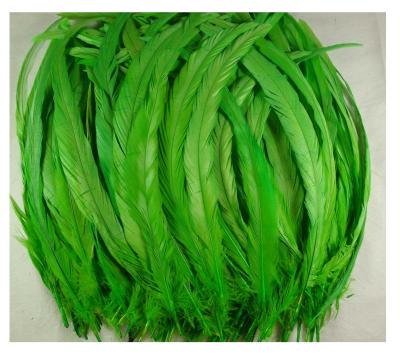 China Robe decroation green rooster tail feather saddle feathers long tail feathers pile up tail feather for sale