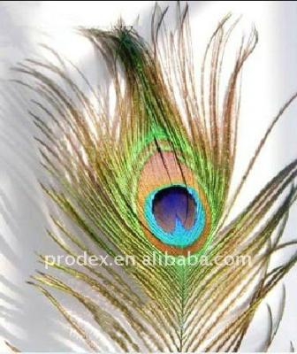 China Decroation wedding centerpieces party decoration peacock feather for sale