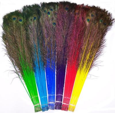 China soft cheap peacock feather for sale