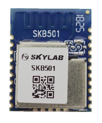 China Nordic SKYLAB BLE 5.0 nrf52840 Bluetooth Indoor Positioning Module for Real Time Location System for sale