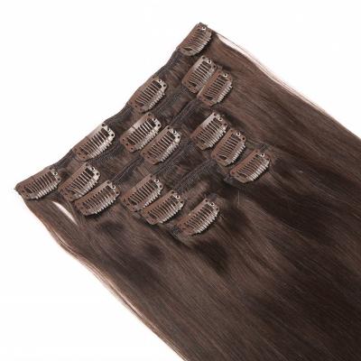 China Silky Straight Virgin Clip In Hair Extensions 100 Percent Remy Human Hair No Shedding for sale