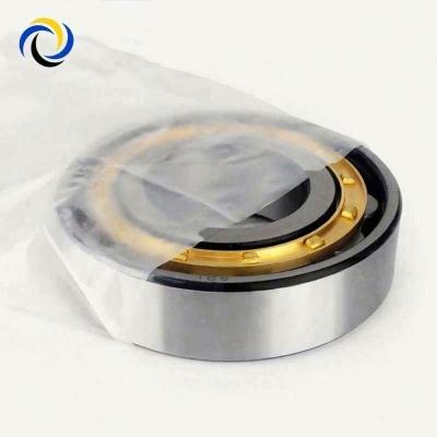 China Chrome Steel NU 2319 NU2319 Factory Liaocheng Bearings Cylindrical Roller Bearing for sale