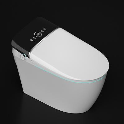 China 651Hot Sales Concealed Intelligent Smart Electric Bathroom Bidet One Piece Toilet for sale