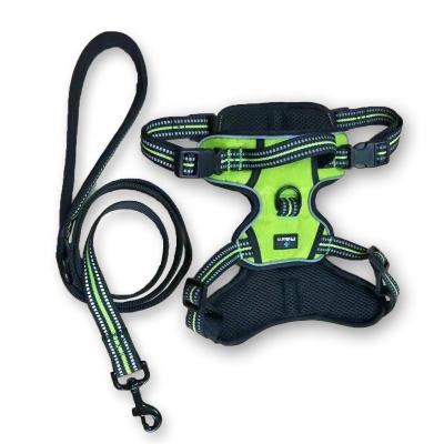 China Viable Factory OEM High Quality Custom Strong Nylon Bungee Dog Harness And Thoughtful Leash Dog Leash for sale