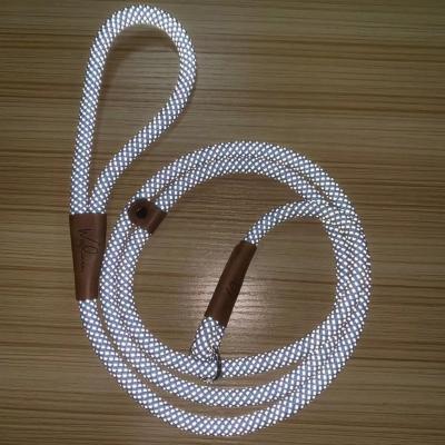 China 2020 Viable New Style Best Selling Dog Rope Nylon Thoughtful Leash Slip Lead And Training Pet Collar for sale