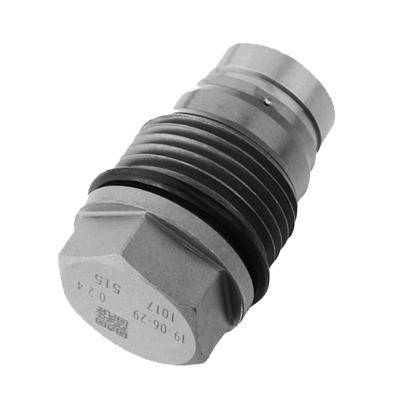 China New Fuel Rail Installation Fuel Rail Pressure Relief Valve 1110010018 1110010028 Common Diesel Common Pressure Relief for sale