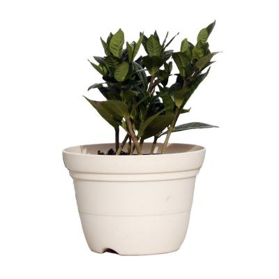 China Durable flower pot with holes at the bottom of the simple plastic flower pot of good air permeability for sale