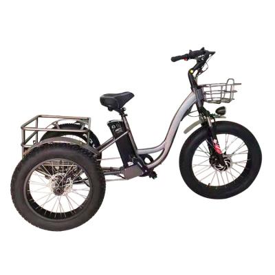 China Cargo MiLG etrike 48v1000w 750w electric tricycle tire fat 24 inch electric tricycles with pedals for sale