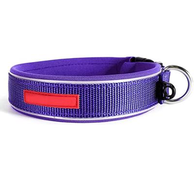 China 2020 Padded Durable Thoughtful Dog Collar , Polyester Adjustable Dog Collar With Soft Neoprene Padding for sale