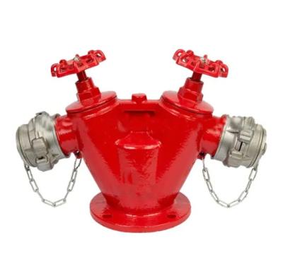 China custom valve Vietnam style double outlet column hydrant indoor fire hydrant outlet 65-16K-65 65-16k-65 for sale