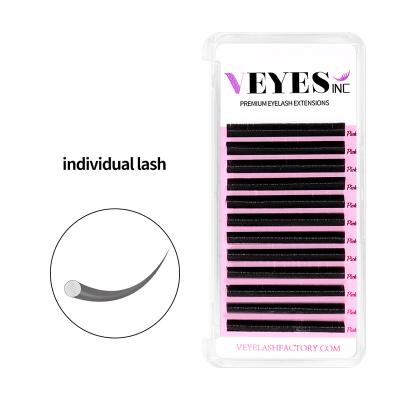 China Veyelash Natural Wholesale Long Quick Fanning Easy Fan Whips Private Label PBT Volume Korean Russian Lashes for sale