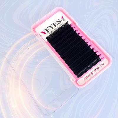 China Self Fan Lash Veyelash Eyelash Extensions Wholesale Private Label 0.03 Easy Extensions Custom Korean Logo PBT Lash Fan Volume Eyelash Extension for sale