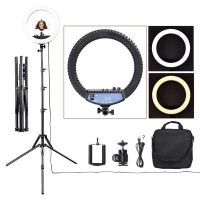 China Free shipping FOSOTO RL-12II 2020 from MEXICO innovative 14 inch dimmable fosoto ring light for tattoo beauty tiktok video lighting RL-12II (better than RL-12) for sale