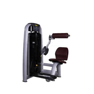 China Commercial Gym Equipment Bodybuilding Lower Back Pulse Trainer for sale