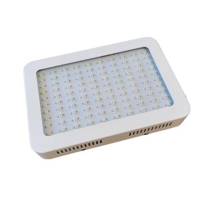 China Seed starting commercial grow lights 1200W LED grow light dieffenbachia light for sale