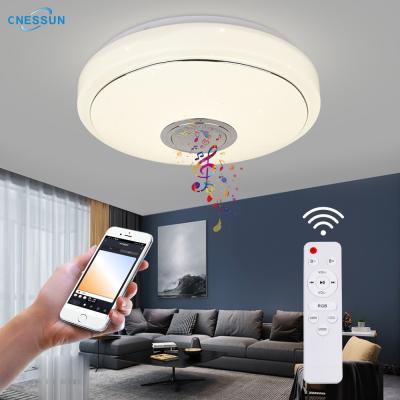 China Modern Smart Dimmable Bedroom Ceiling Decorative Indoor Lighting Decorative Lamp Led WIFI Music BT APP Outdoor Round Ceiling Lamp for sale