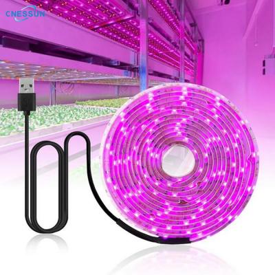 China Phytolamps 5V USB Dimming Button Grow Lamp 2835 3m Chip 1m 2m LED Strip Grow Lights For Plants Seedling Growth for sale