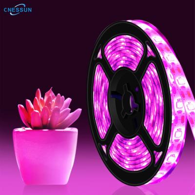 China DC5V 1M 2M 3M SMD2835 Full Spectrum USB LED Strip Light Dimming Button Grow for Seedlings Plants Flowers for sale