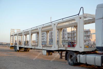 China TITAN Auto-Selbstschlepper schloss Fahrzeug-Speditionsunternehmen-LKW-Anhänger ein zu verkaufen