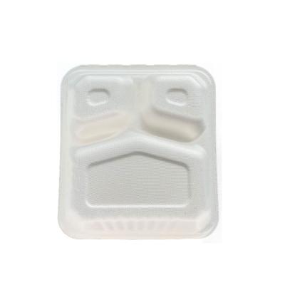 China Eco Friendly Biodegradable Lunch 3 Compartment Biodegradable Food Box Take Away Lunch Packing Boxes for sale