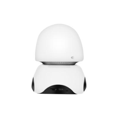 China Vandal Proof Home Security IP Camera Mini Baby Monitor HD CCTV Camera for sale