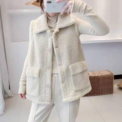 China All-in-one vest 2022 breathable fur lamb velvet spring and autumn new version Korean loose fur all-in-one vest all-match for sale