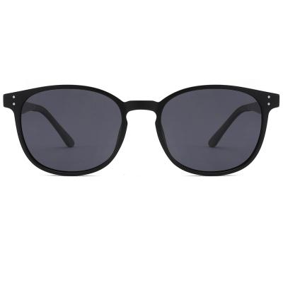 China Fashion Lightweight TR90 Sunglasses New Arrival For Men Women Fashion Oval Sunglasses Ready Stock for sale