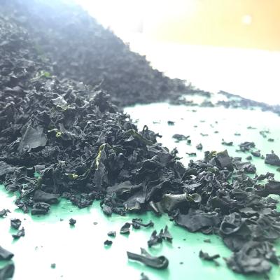 China Dry dry wakame for misoshiru (dry seaweed) for sale