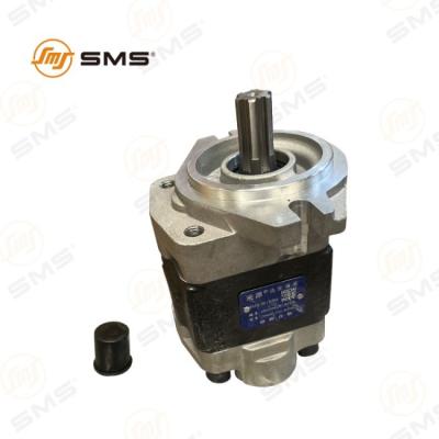 Chine Hydraulic Oil Pump Gear Pump Diesel Forklift CBHZG-F32-ALH6L SCAU1/125S 12C1270 à vendre