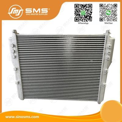 China Truck Intercooler DZ9X25953100 HOWO Truck Parts Shacman X6000 for sale