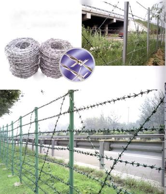 China Factory price razor wire fence/ razor barbed wire/ concertina razor wire for sale