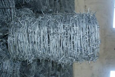 China Factory price razor wire fence/ razor barbed wire/ concertina razor wire for sale