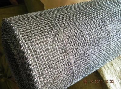 China Stainless steel square wire mesh Galvanized Square Wire Mesh  made in China for sale