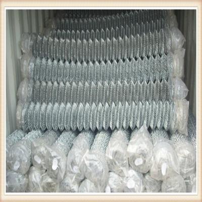 China Chain Link Fence,Chain Mesh Fence for sale