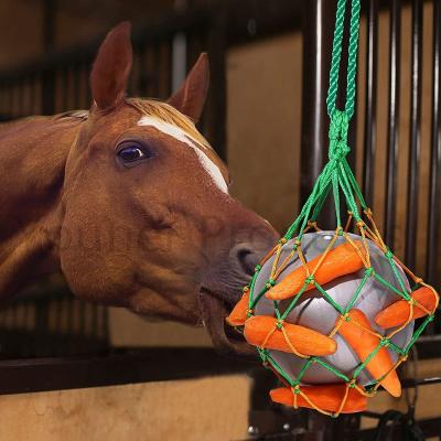 China Sustainable Carrot Feeder Ball For Horses Hanging Feeder Ball for sale