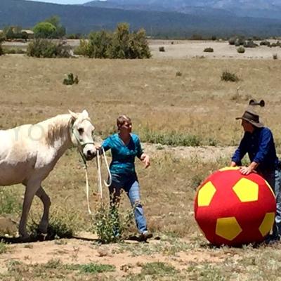 China Round 100cm PVC Exercise Horse Football Yoga Gym Ball Wholesale Anti-burst Horse Training Stress Ball Big Size Toy For Training for sale